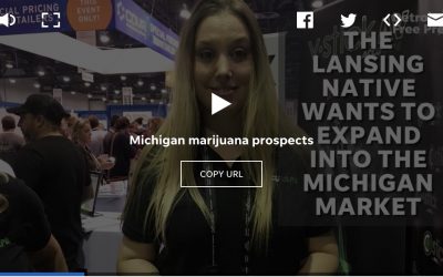 Detroit medical marijuana initiative overturning could be appealed